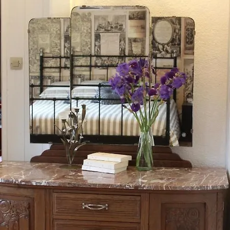 Appartement Bouquiniste Hyper Centre Colmar