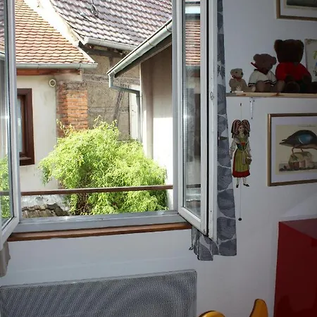 Bouquiniste Hyper Centre Appartement Colmar